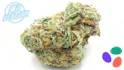 Product Preview Image 2