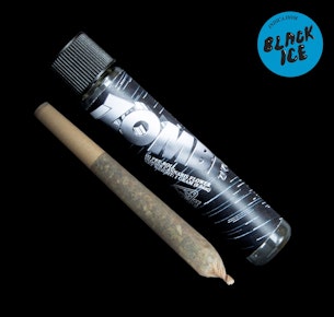 Zombi I Black Ice I 1g Pre-Roll