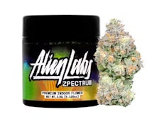 Alien Labs Zpectrum 1/8 24%