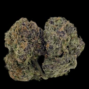 Ztopia -- Ounce