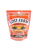 Tropical Lemonade x Ztrawberry Guava | Live Rosin Gummies | 100mg/10 Pieces | Lost Farm