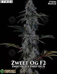 Truforia - Zweet OG 3.5GM (S)