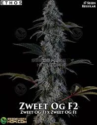 Truforia - Zweet OG 3.5GM (S) Main Image
