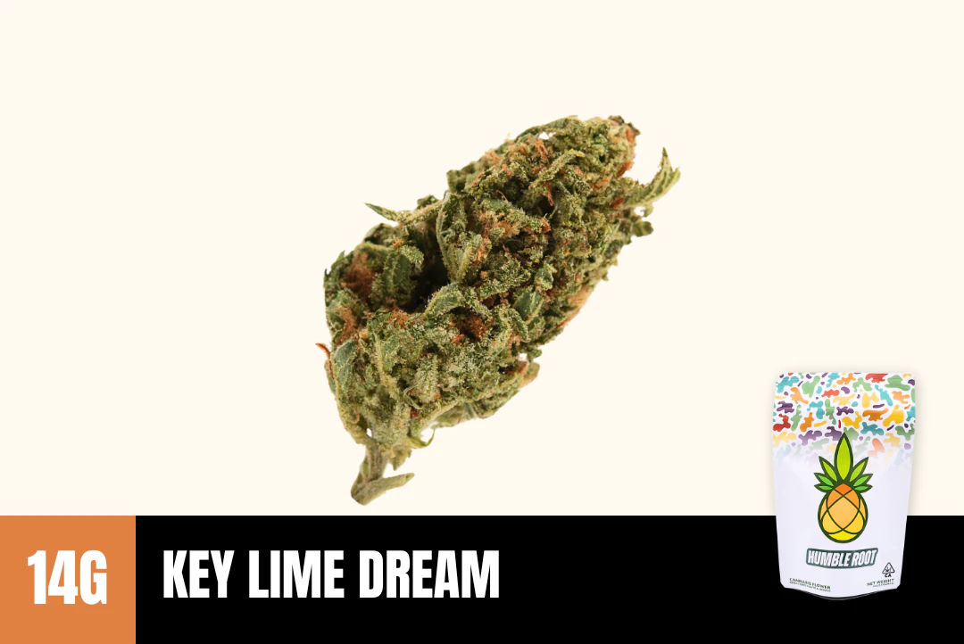 Humble Root - 14g Key Lime Dream (Greenhouse) - Humble Root Main Image