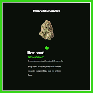 EMERALD CITY ORGANICS - Emerald Organics - Illemonati 3.5G 