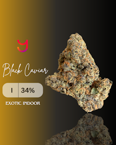 YAGA - Black Caviar (Indica): Top Shelf Half Ounce | 14G