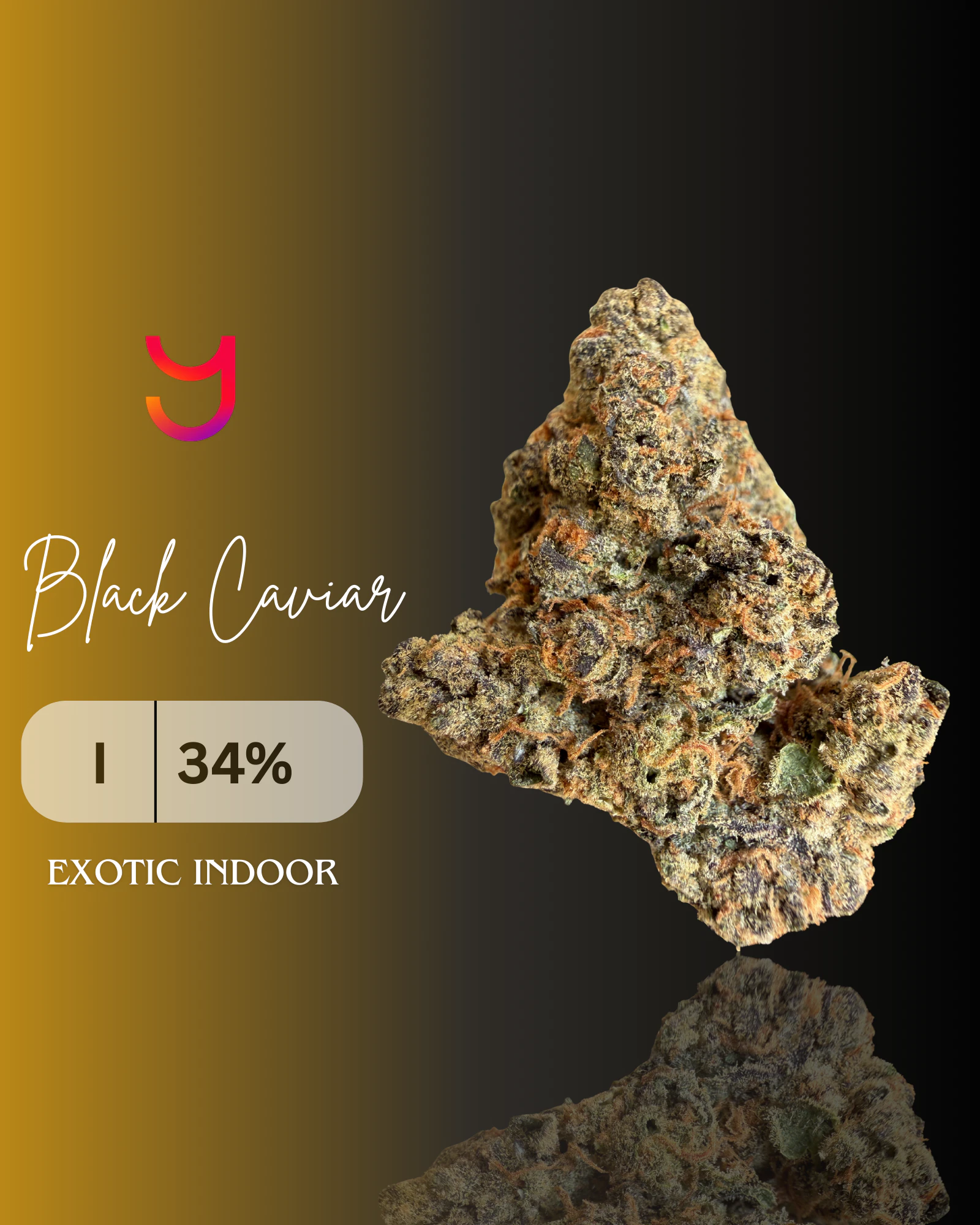 YAGA - Black Caviar (Indica): Top Shelf Half Ounce | 14G Main Image