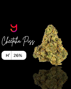 YAGA - Cheetah Piss | 14G (H)