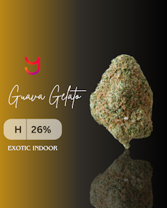 YAGA - Guava Gelato (H): Top Shelf | 3.5G