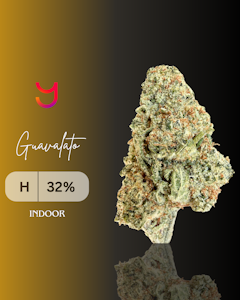 YAGA - Guavalato 14G (Hybrid)