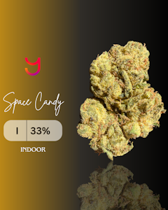 YAGA - Space Candy 14G (Indica)