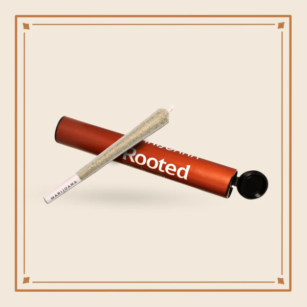 Rooted - ROOTED - LORD LICORICE 1 GRAM PRE-ROLL Main Image