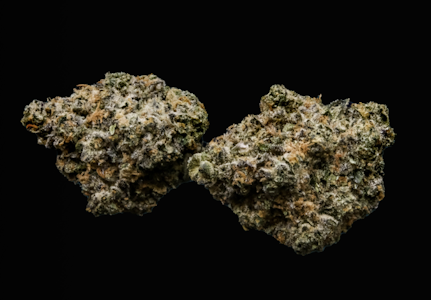 CURALEAF - A Tartz (H) 00429