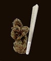 urbanXtracts - Amnesia Haze Infused - 1.2G - Preroll