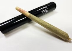Citral Flo | Pre-Roll | 1g