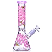 Bongs/$35