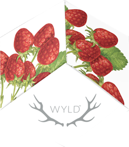 WYLD - Wyld-Strawberry 20:1 CBD:THC 20mg CBD:1mg THC-Hybrid Enhanced