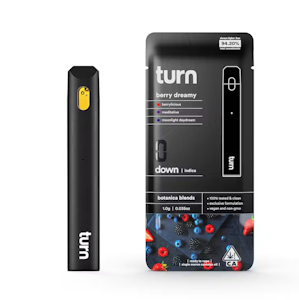 TURN - Turn - 1g AIO - Berry Dreamy 
