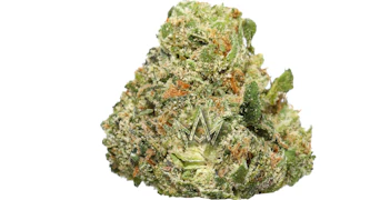 Lolo - Hyphy Runtz Indoor Buds - 3.5g