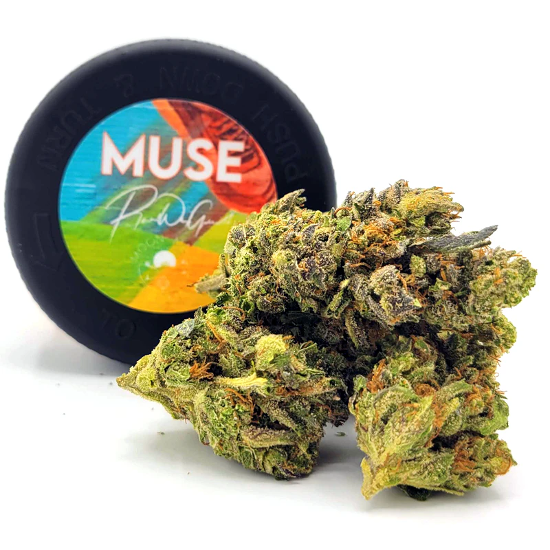 Dolo Rolling Co. - Muse - Lemon Ghoulie (Eighth) Main Image