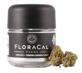 FloraCal - FloraCal Jet Fuel Gelato#4 3.5g Jar