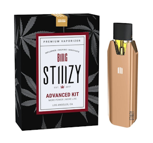 STIIIZY - Rose Gold STIIIZY BIIIG Battery 