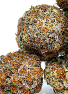 NORCAL HOLISTICS - Gold Standard Flower 3.5g - High Society 27%