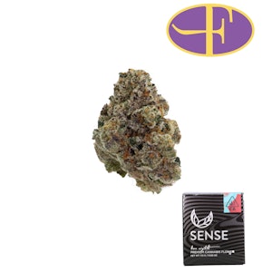 SENSE - Lucky Charmz