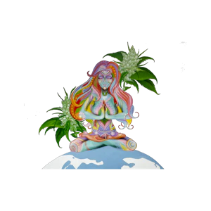 Sunset Connect - PURPLE RAINBOW 1G - SUNSET CONNECT