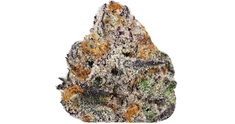 Decibel Gardens - Sweet Victory - 3.5g