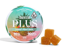 PLUS Gummies - Solventless - Island Maui Haze 100mg