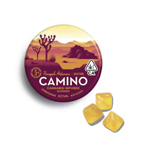 Camino - Strawberry Sunset | 100mg Gummies | Camino