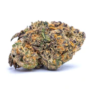 Gelato 45- flower (3.5g)- Lakeside Canna