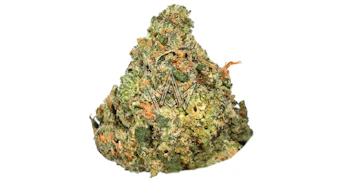 Preferred Gardens - Traffic Jam - 3.5g