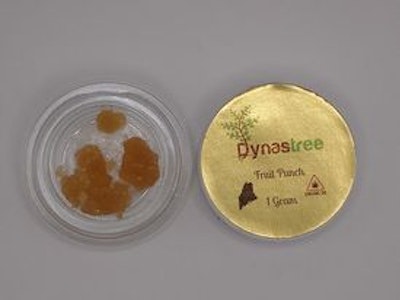 Fruit Punch - 1g Concentrate - Dynastree