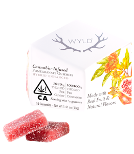 Pomegranate Gummy Pack 1:1 THC:CBD