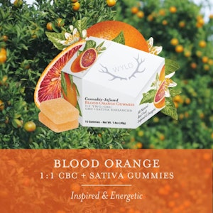 WYLD - Wyld Blood Orange Sativa Enhanced with CBC 100mgTHC:100mgCBC