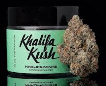 Khalifa Kush 3.5G Khalifa Mints Flower