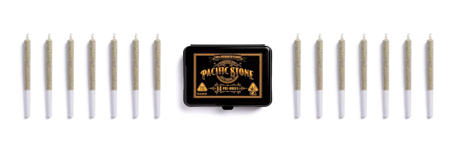 Pacific Stone - 805 Glue (H) | 14 Piece Preroll Pack | Pacific Stone