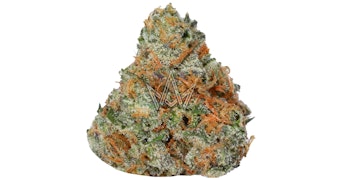 Suprize Suprize - THOT No.8 - 3.5g