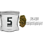 5 BORO | Blue Hawaiian | Dime Bag (.7g)