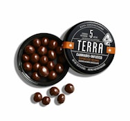 Kiva Terra Dark Chocolate Espresso Bean Bites 100mg