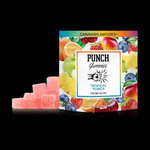 Punch - Punch - Tropical Punch - Gummies - 100MG