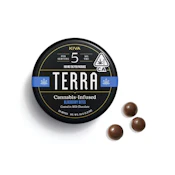 TERRA BITES - Edible - Blueberries - Milk Chocolate Bites - 100MG