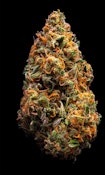 Golden Goat - 3.5g - Local Roots