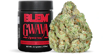 Blem - Gwava - 3.5g
