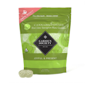 200mg 1:1 THC:THCv Kiwi Lime Sauv Blanc Gummies (5mg THC, 5mg THCv - 20 pack) - Garden Society