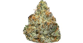 Decibel Gardens - Alien Orange - 3.5g