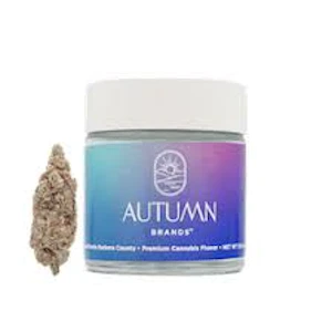 Autumn Brands - Autumn Brands 3.5g Purple Carbonite