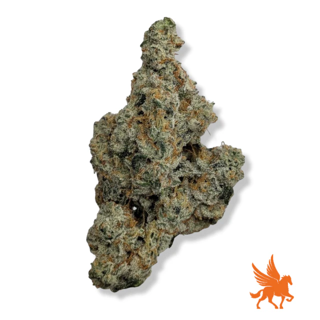 Pegasus Green - PURE PEGASUS Main Image